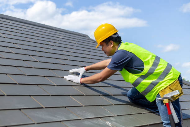 Roof Gutter Cleaning in Columbia Heights, MN