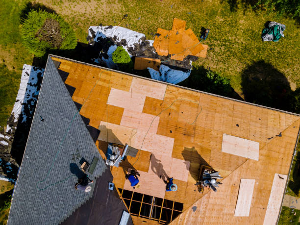 Best Roof Leak Repair  in Columbia Heights, MN