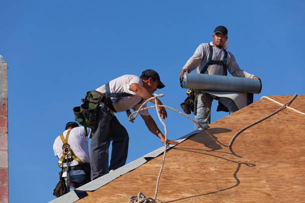 Best Roof Waterproofing Services  in Columbia Heights, MN