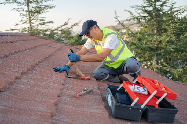 Best Sealant for Roof  in Columbia Heights, MN