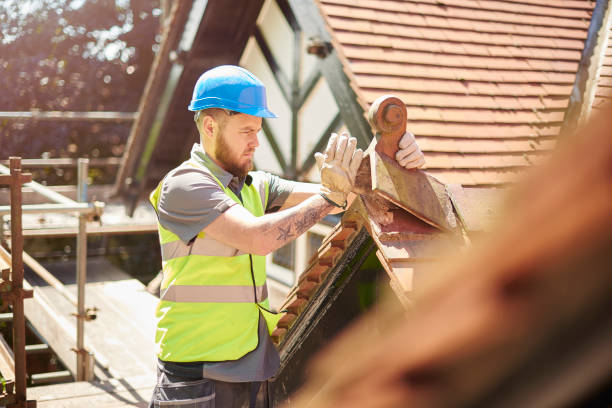 Best Roof Restoration Services  in Columbia Heights, MN