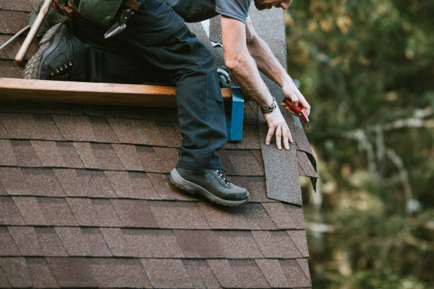 Best Roof Gutter Cleaning  in Columbia Heights, MN