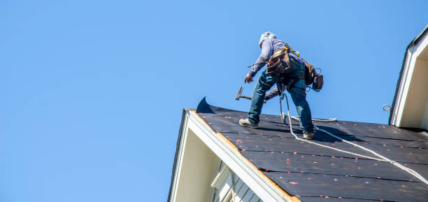 Best New Roof Installation  in Columbia Heights, MN