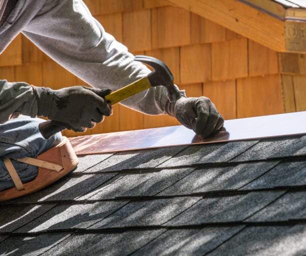 Best Local Roofing Companies  in Columbia Heights, MN